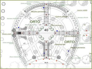 planorto2